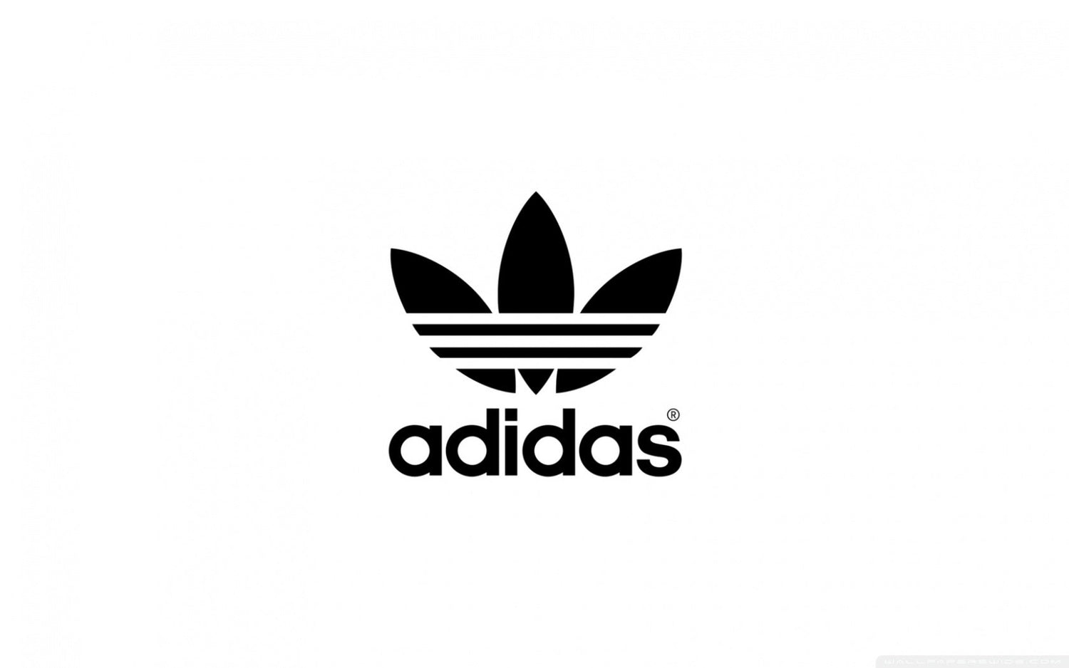 Adidas Collection