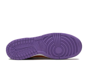 Dunk Low SP Retro "Viotech"