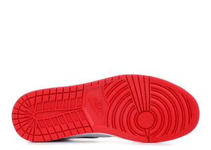Air Jordan 1 Retro High OG "Homage"